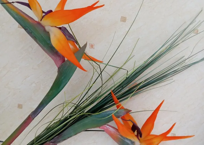 Le Relais Du Perche Les Croix Chemins